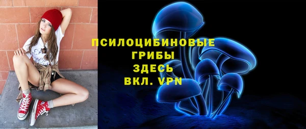 ешки Алексеевка