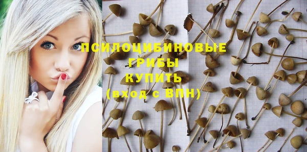 эйфоретик Алексин