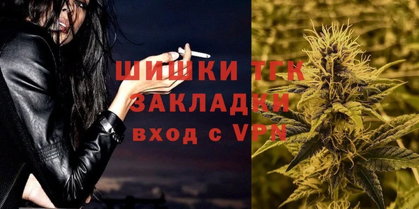 прущие грибы Протвино